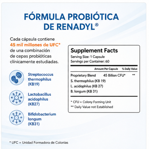 Renadyl 60 Capsulas Kibow Biotech.