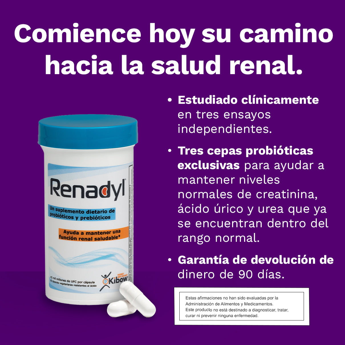 Renadyl Kibow Biotech 60 capsulas