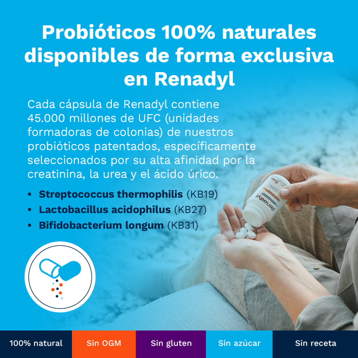 Renadyl Kibow Biotech 60 capsulas