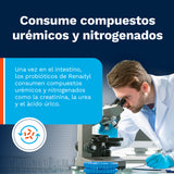 Renadyl Kibow Biotech 60 capsulas